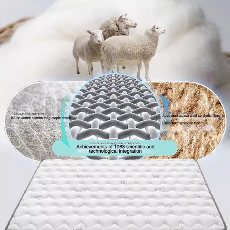 20CM Spring Mattress Queen Size Latex Mattress Topper Coconut Tatami Floor for Sleep Comfortable Bedding Furniture for Bedroom