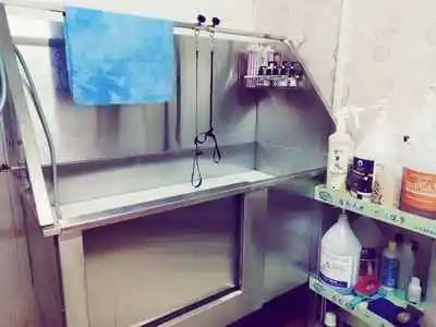 50 Inch Electric Dog Grooming Bathtub With High Pressure Sprayer Stainless Steel Electric Lift Height Pet Paw Cleaner Bathtub