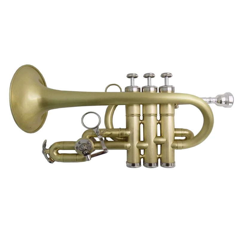 Bb/A Piccolo Trumpet Musical Instruments Brush Finishes Yellow Brass Body with Mouthpiece Case
