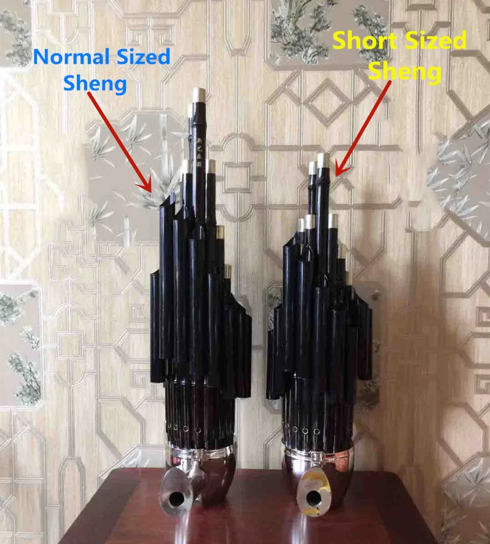 MMOOKA Chinese traditional Musical Instrument BAMBOO SHENG ancient reed pipe wind instrument sheng D tone 17 keys short sized sheng