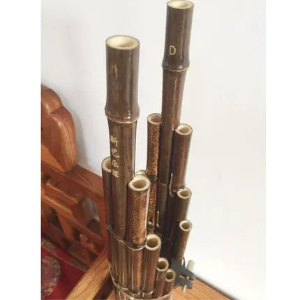 MMOOKA Chinese traditional Musical Instruments BAMBOO SHENG ancient reed pipe wind instrument sheng D tone 17 keys purple bamboo sheng