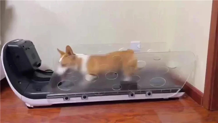 Factory Direct Sale Temperature Adjustment Dog Running Machine Pet Treadmill With Feeding Function