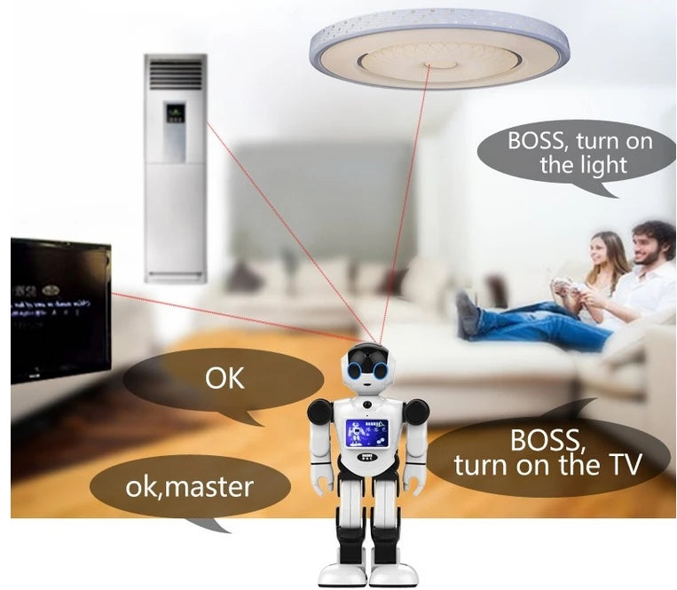 Intelligent Robot Toys Released Boss RK-01 robot toy cleaner humanoid robot with