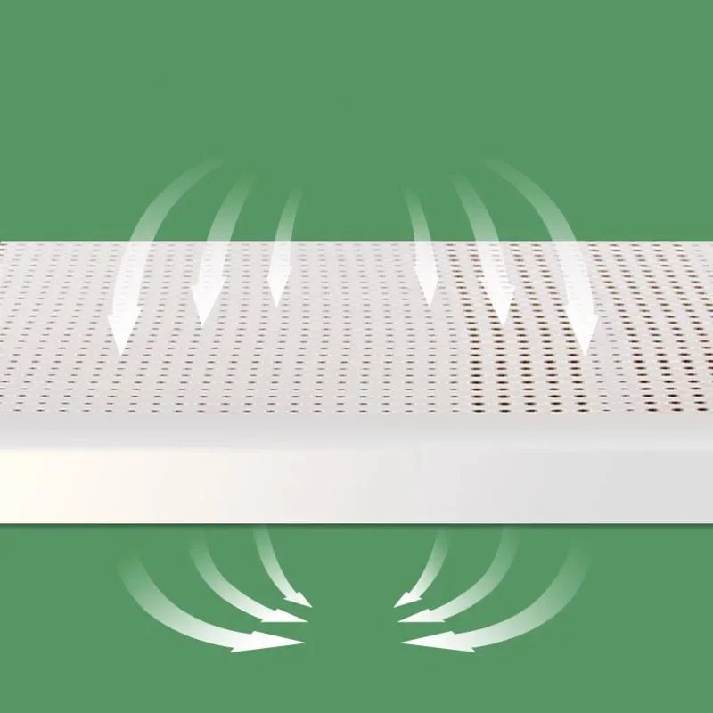 Living Room Indoor Mattress Extension High Latex Industrial Tatami Mattress King Core Sleep Matelas De Sol Modern Furniture