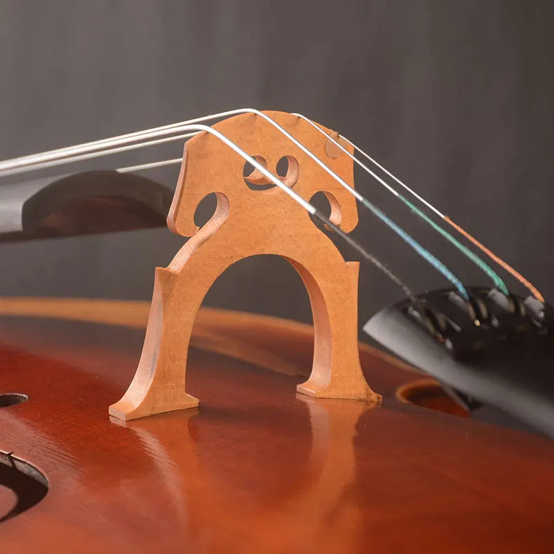 MMOOKA Master tone! A "Montagnana Model" 1742 Copy Cello !Wide Body! Oil antique