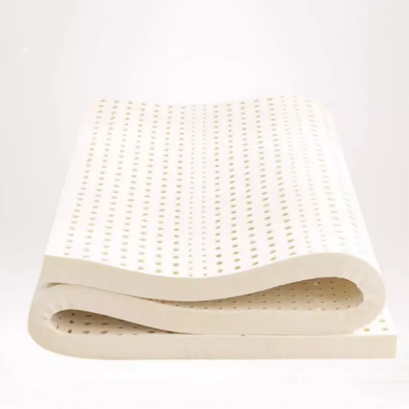 Minimalist Bed Mattress High Industrial Quality Latex Bedroom Tatami Creative Mattresses Foldable Matelas De Sol Sleep Furniture