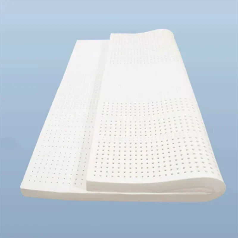 Minimalist Bed Mattress High Industrial Quality Latex Bedroom Tatami Creative Mattresses Foldable Matelas De Sol Sleep Furniture