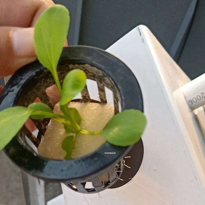ANTNX Balcony Hydroponic Growing System Equipment Soilless Cultivation Pipeline Planting Home Lettuce Vegetable Hydroponic Pots r ANTNX.COM