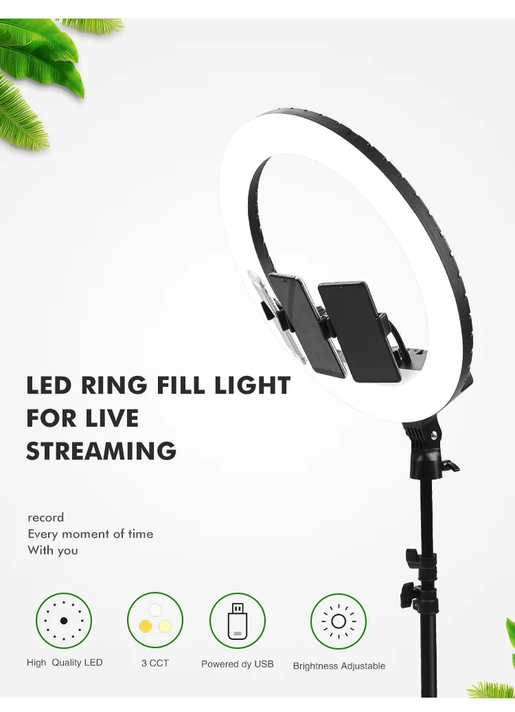 MMOOKA 2025 hot sale Kalio 18 Inch Youtube Tiktok 180 Degree Adjustment Ring Light with Tripod