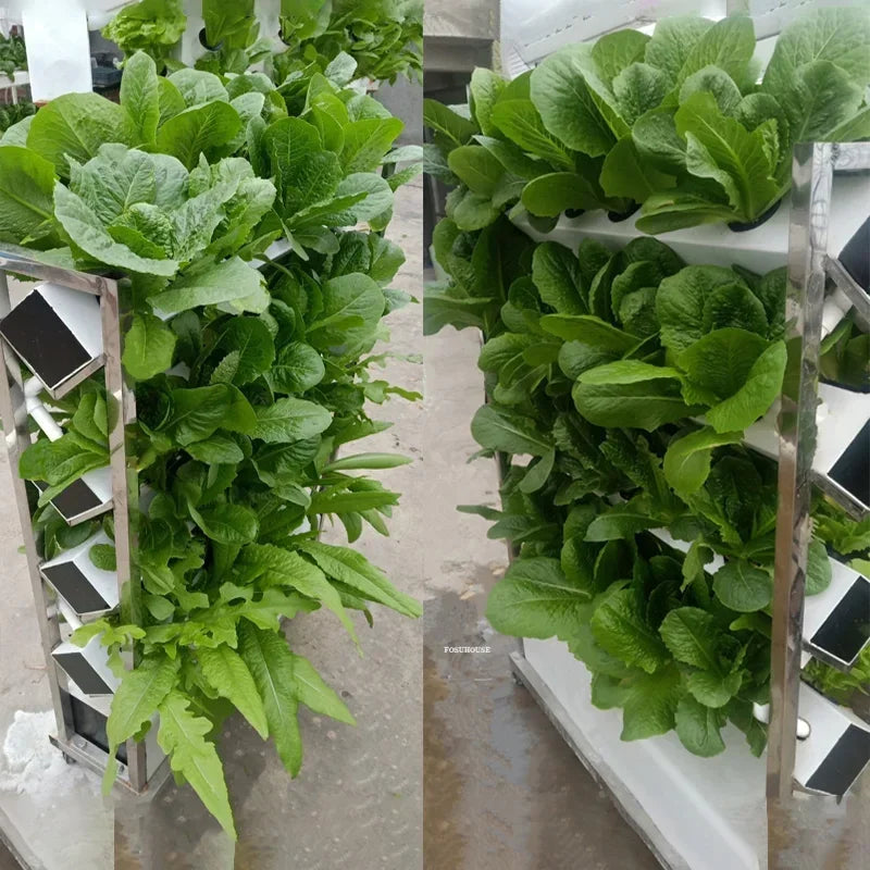 ANTNX Balcony Hydroponic Growing System Equipment Soilless Cultivation Pipeline Planting Home Lettuce Vegetable Hydroponic Pots r ANTNX.COM