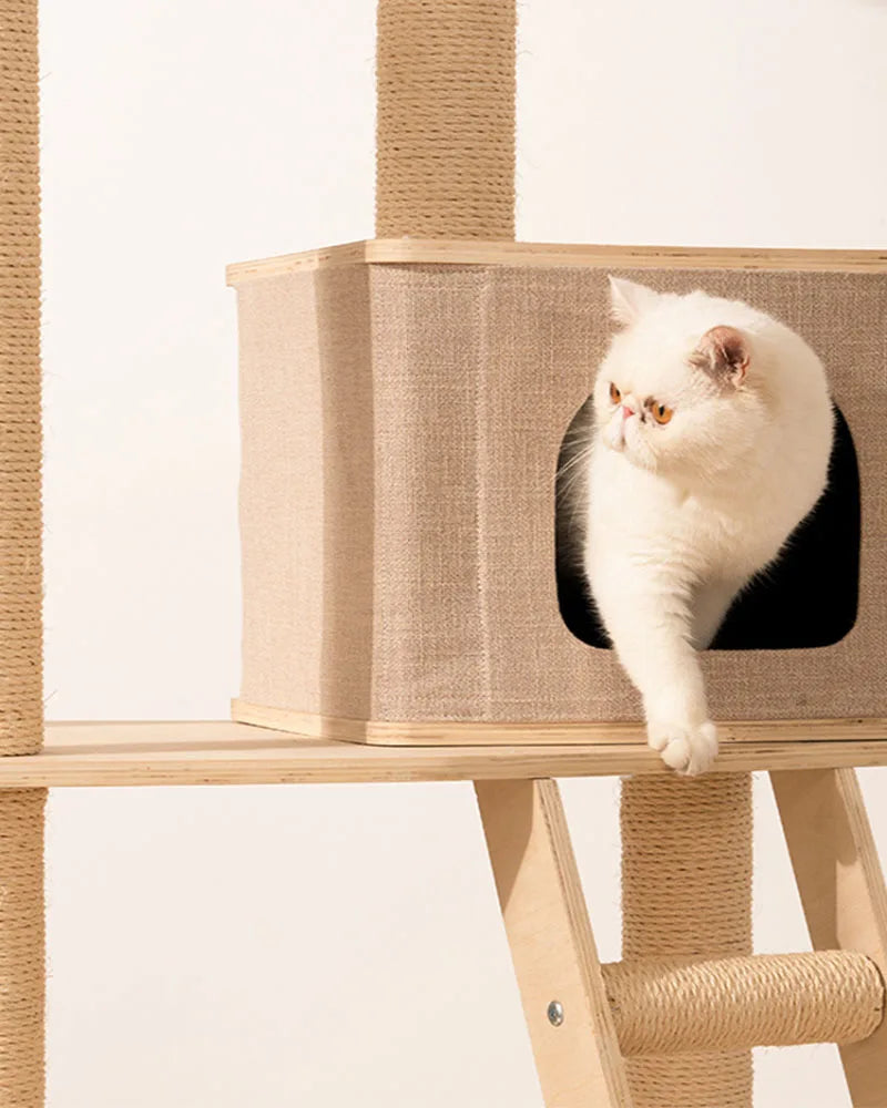 Solid wood cat climbing frame cat tree cat nest integrated multi-layer large cat rack grinding claw column cat with nest climbi