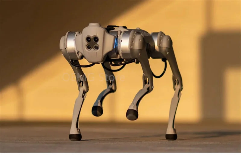 Technology Dog Unitree ArtificialIntelligence Accompanying BionicAccompanying Intelligent Robot Go1Quadruped Robot Dog
