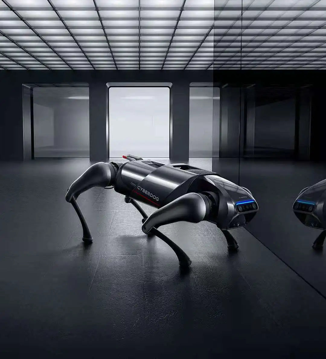 XIAOMI Cyberdog bionic quadruped robot, to restore more real biological response, high-precision environmental sensing system