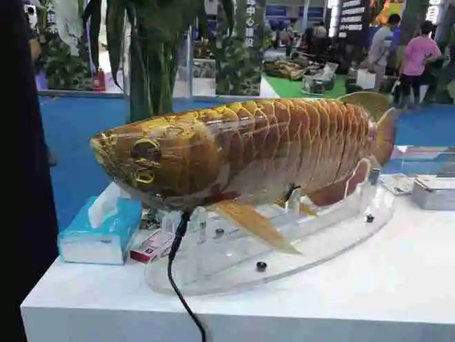 robosea Multi-joint autonomous Bionic fish robot Wireless Underwater Fish Dive Shooting Intelligent Robot Photo Photography