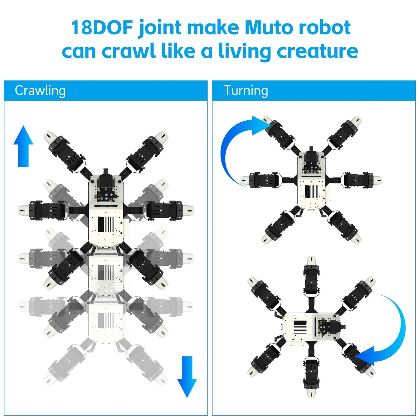 18DOF AI Intelligent Vision Recognition Hexapod Spider Robot Python Programming Education Kit for RaspberryPi 4B and Jetson Nano