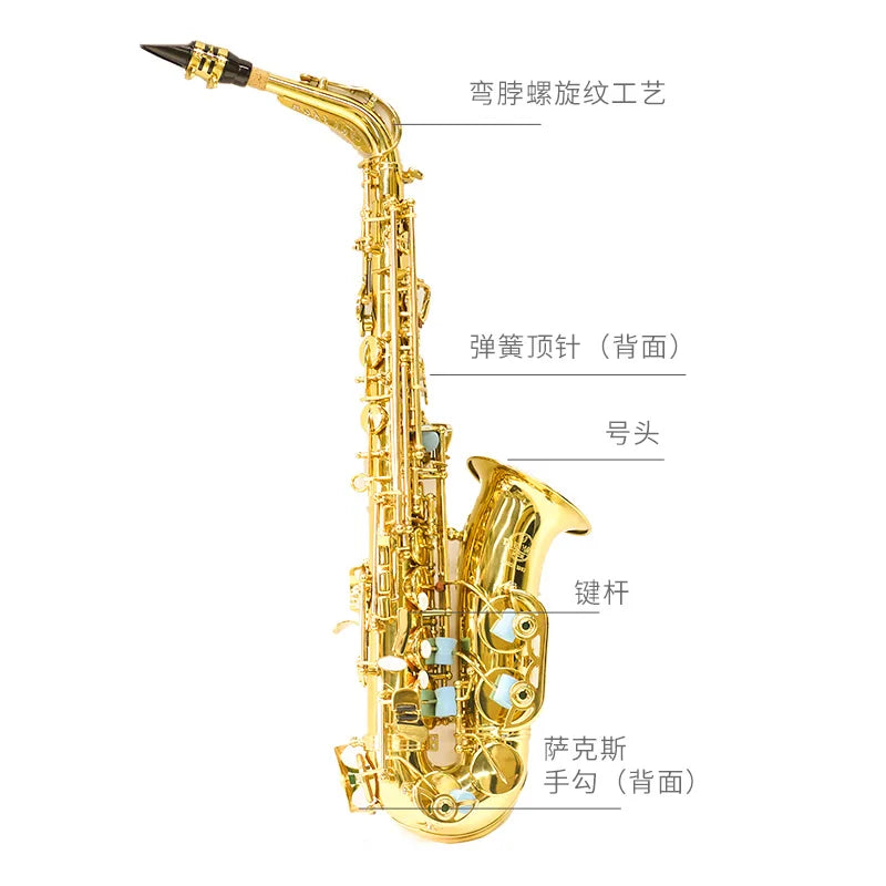 Adult Grading Examination Performance Performance E Flat Alto Brass Saxophone