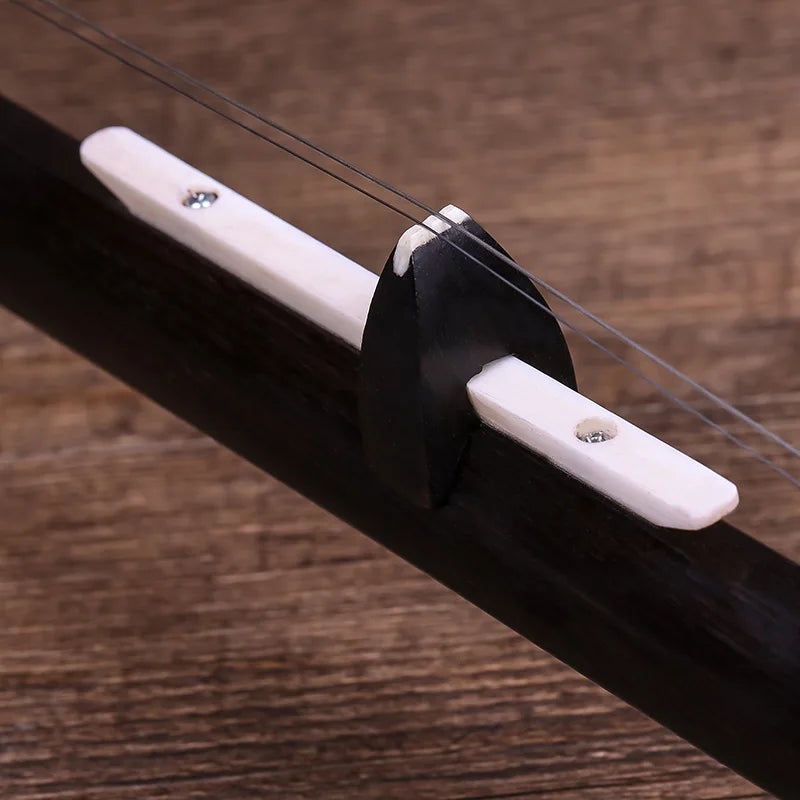 MMOOKA Banhu ebony professional performance, learning to test national musical instruments