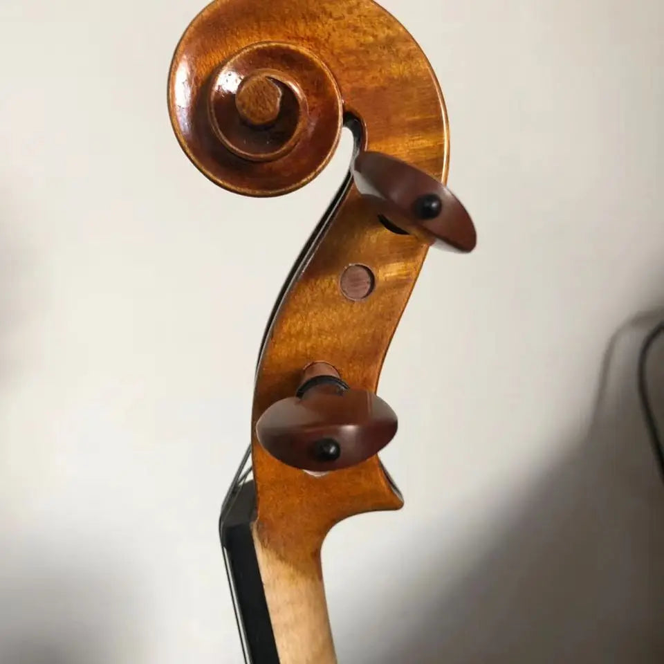 Beautiful Professional Playing Violin Oil Paint Amber Violin