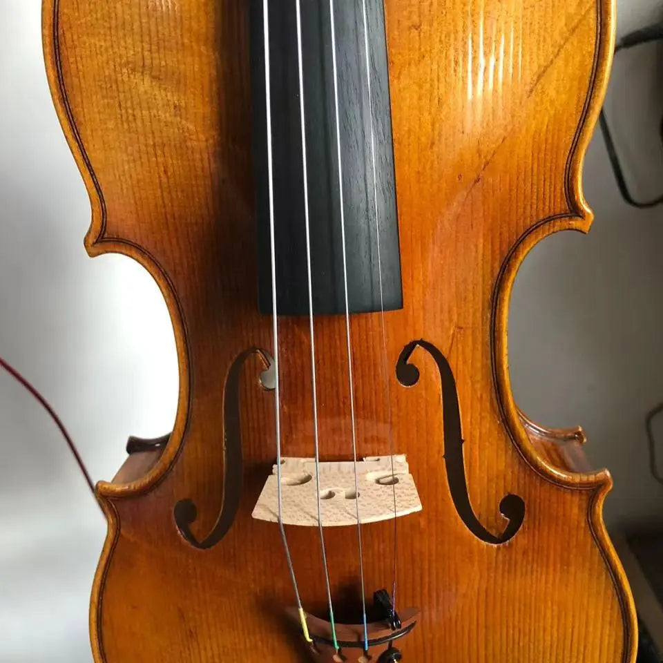 Beautiful Professional Playing Violin Oil Paint Amber Violin