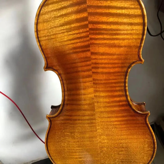 Beautiful Professional Playing Violin Oil Paint Amber Violin