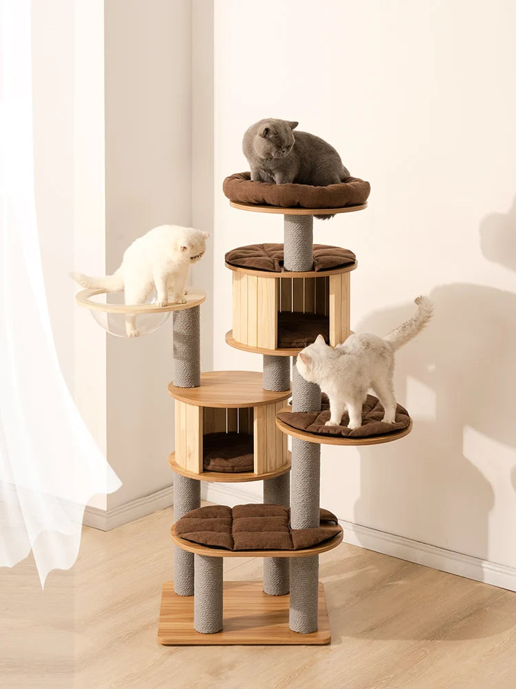 Big cat climbing rack with cat nest cat rack, kitten space capsule cat grabbing rack, universal in all seasons