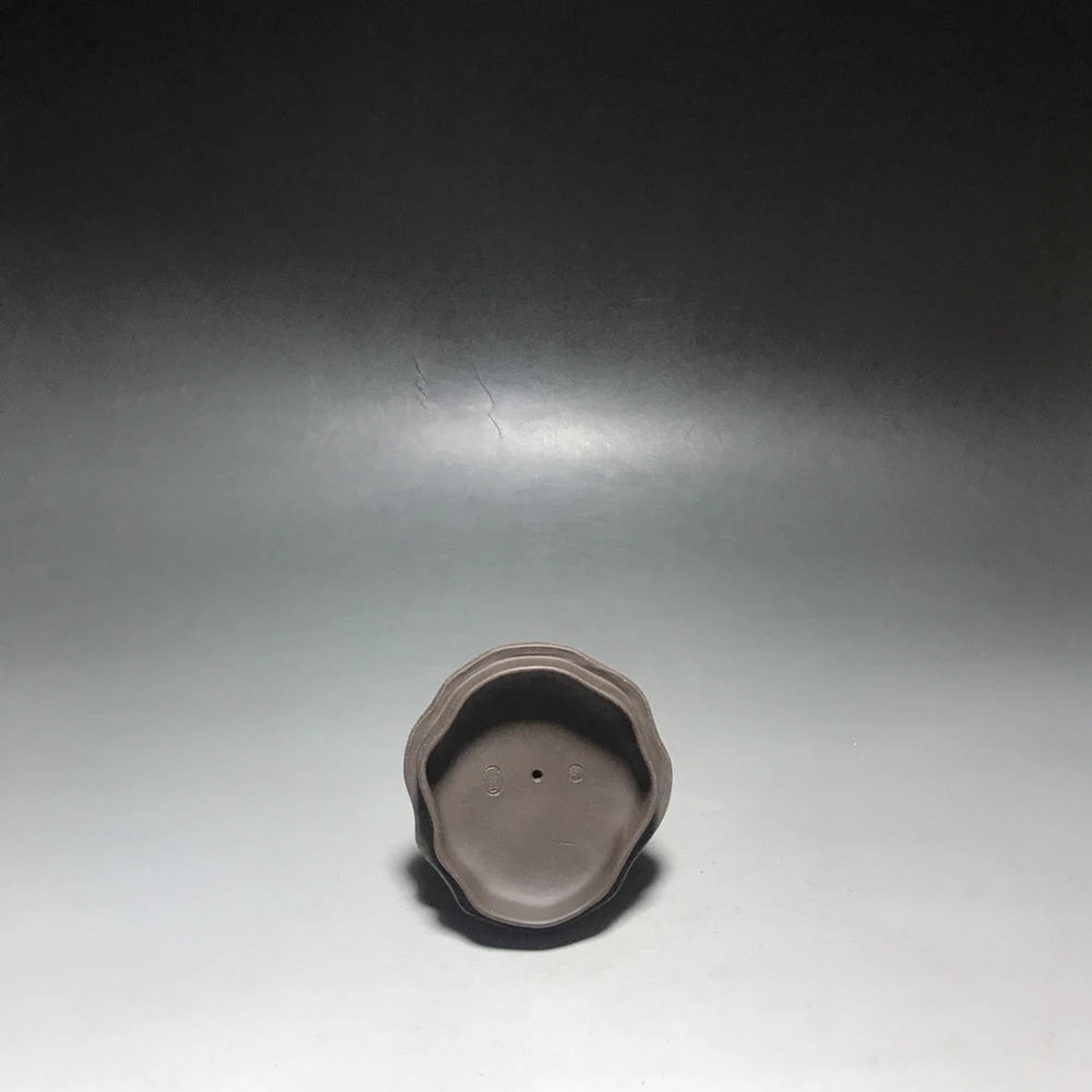 Chinese Yixing Zisha Clay Teapot  Dragon Tiger Pot  Wang Yinxian 500ml