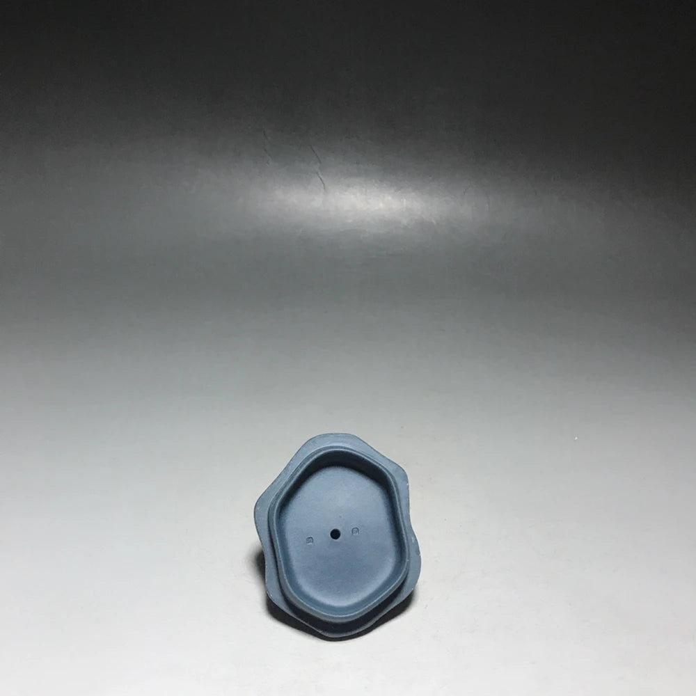 Chinese Yixing Zisha Clay Teapot  Golden Toad Pot Jiang Rong 350ml