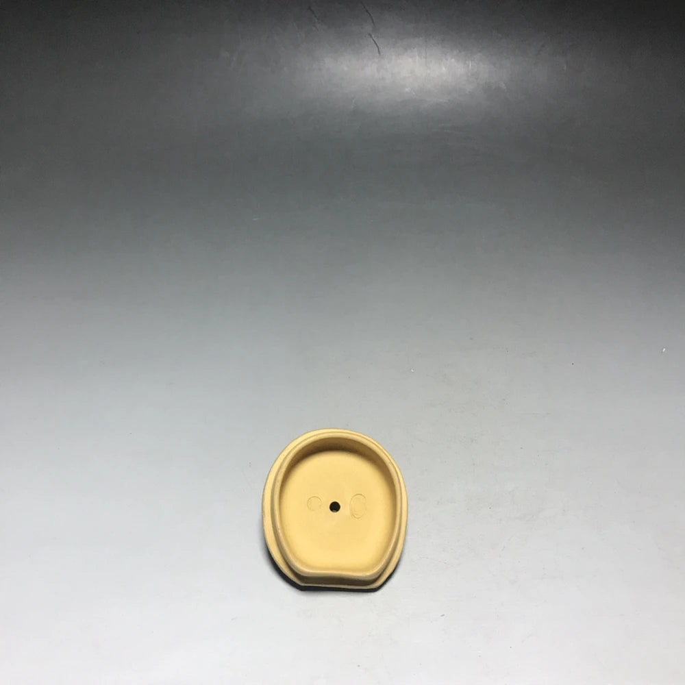 Chinese Yixing Zisha Clay Teapot  Guagua Laicai Pot  Wang Yinxian 450ml