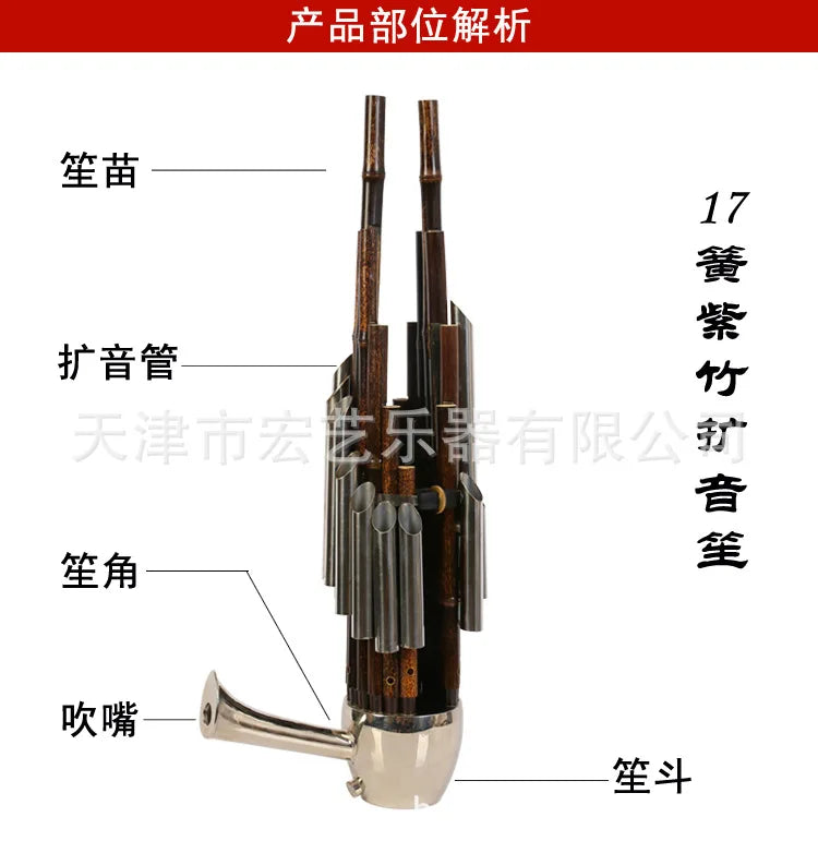 Chinese traditional Musical Instrument BAMBOO SHENG ancient reed pipe wind instrument sheng D tone 17-key purple bamboo sheng