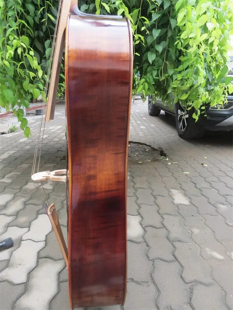 MMOOKA Copy of old type SONG maestro 5 strings 4/4 vielle,medieval cello,bass tone