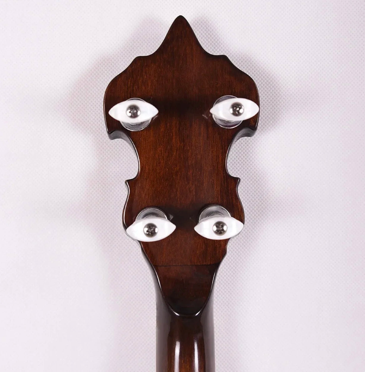 Custom 5 strings Banjo Mandolin west instrument,OEM Service Electric Guitar Bass OBM Western Instruments,OEM Service Acceptable