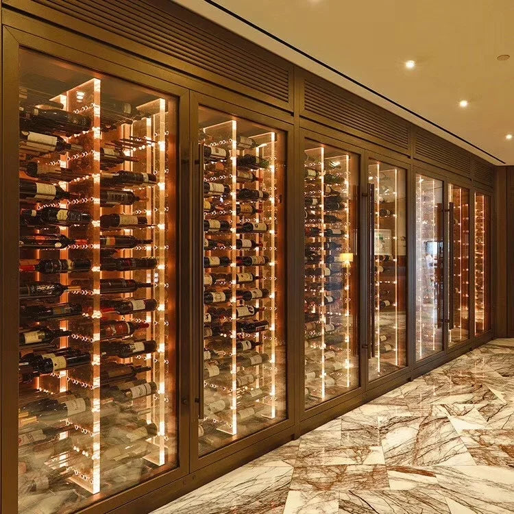 Custom stainless indoor refrigerator with strong compressor cellar wine display