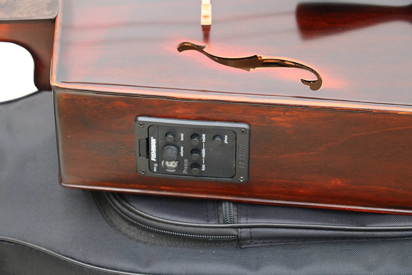 Electric Morin Khuur Matouqin Inner Mongolia stringed instruments acoustic and electric instrumento musical profissional