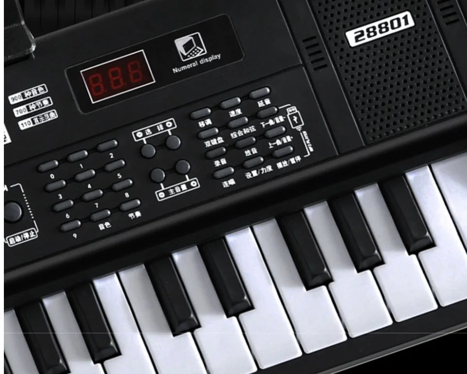 Electric piano Double row keys 88 key portable keyboard instrument