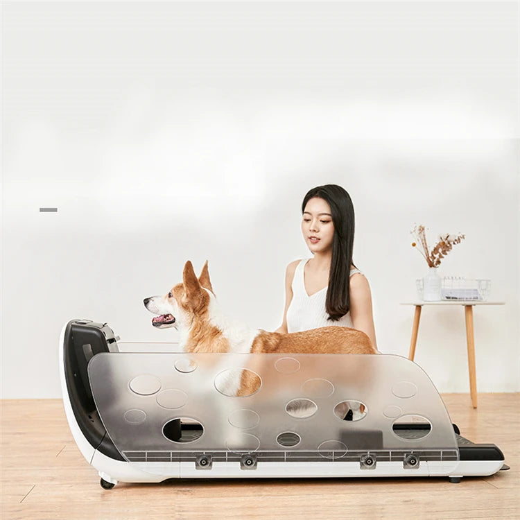 Factory Direct Sale Temperature Adjustment Dog Running Machine Pet Treadmill With Feeding Function