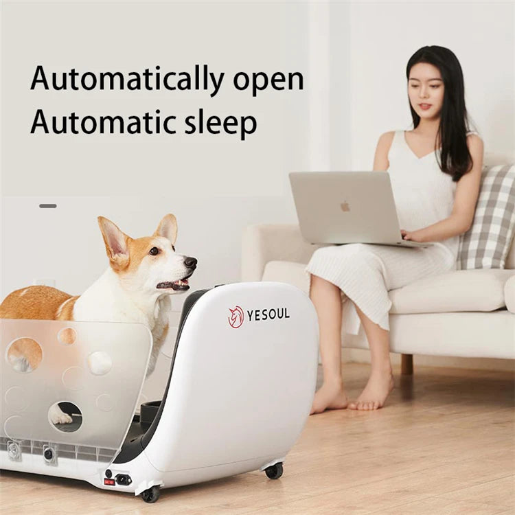 Factory Direct Sale Temperature Adjustment Dog Running Machine Pet Treadmill With Feeding Function