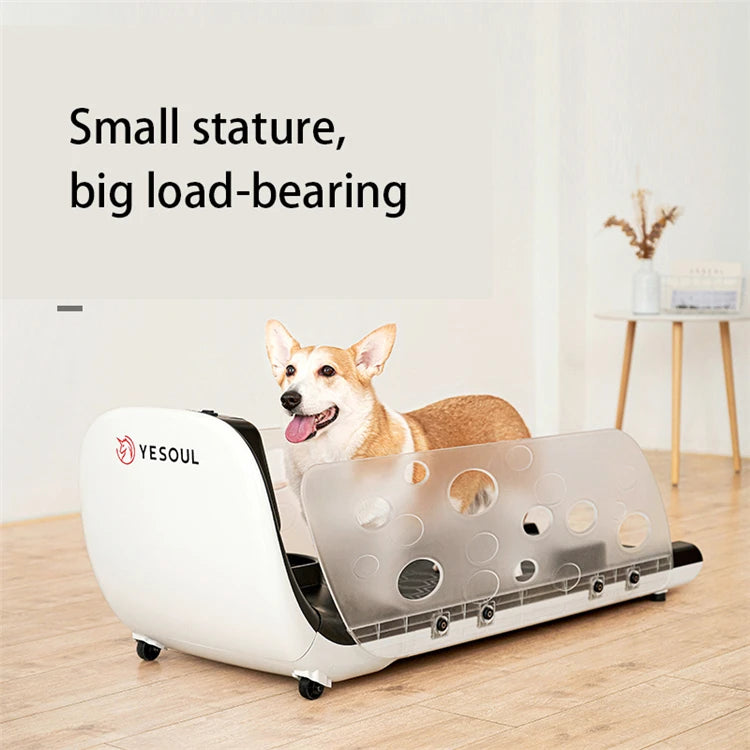 Factory Direct Sale Temperature Adjustment Dog Running Machine Pet Treadmill With Feeding Function
