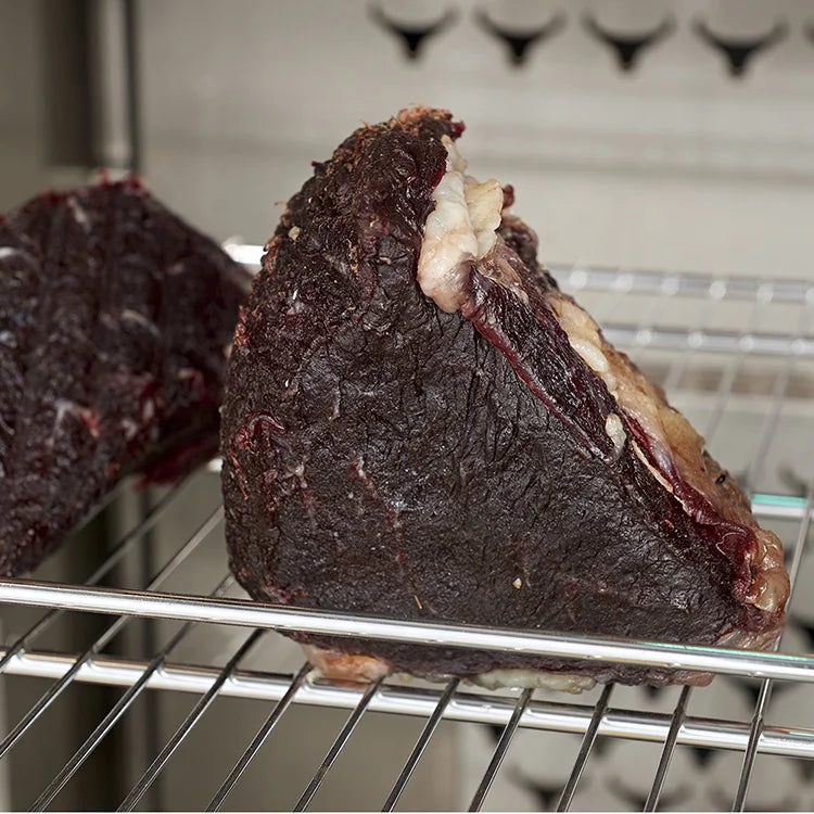 Fashionable Design Meat Dry Ager Cabinet Home/Commercial Steak Beef Dry Aging Fridge