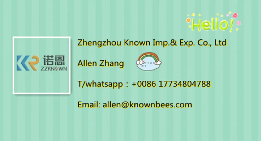 High Quality Electric Hearse White Funeral Car Funeral Supplier Coffin Horse Carriage for Sale