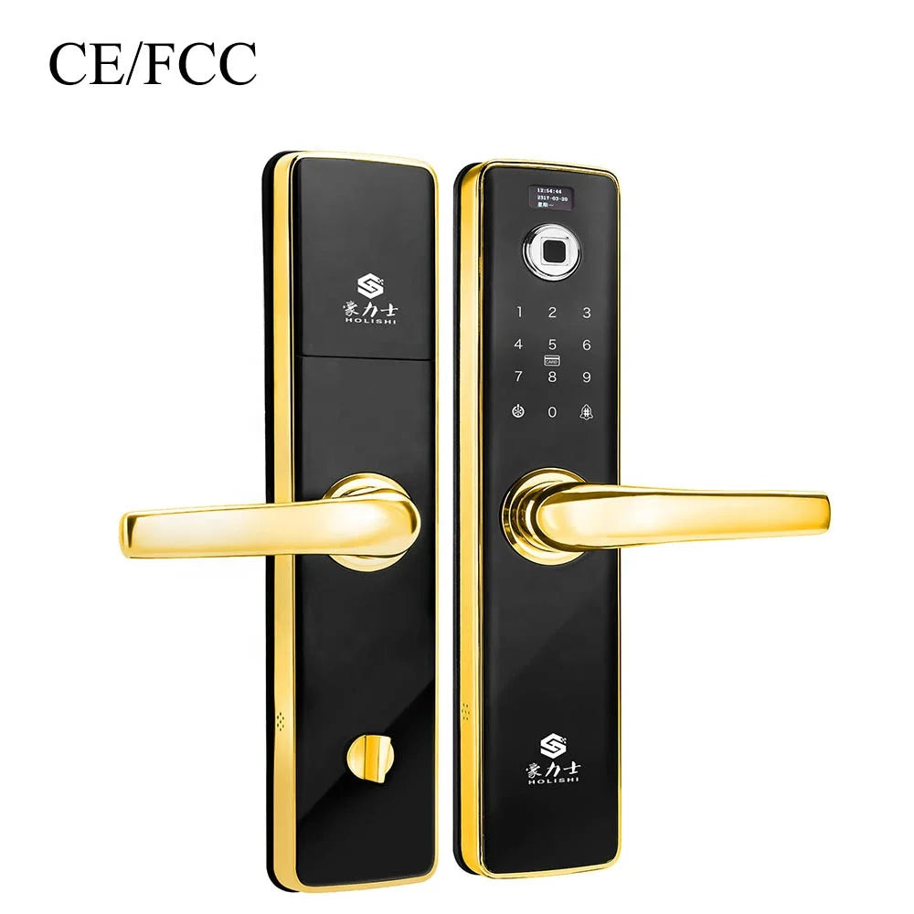 High Security Intelligent Device Biometric Magnetic Bolt Home With Keys Digital Code Door Smart Lock