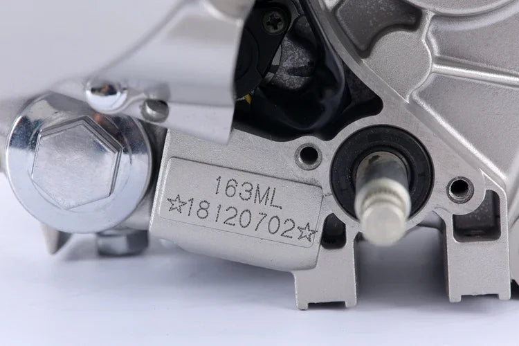 Hot Sale Motorcycle Engine Single Cylinder Water Cool Cg200 4-stroke Tricycle Engine 197cc For