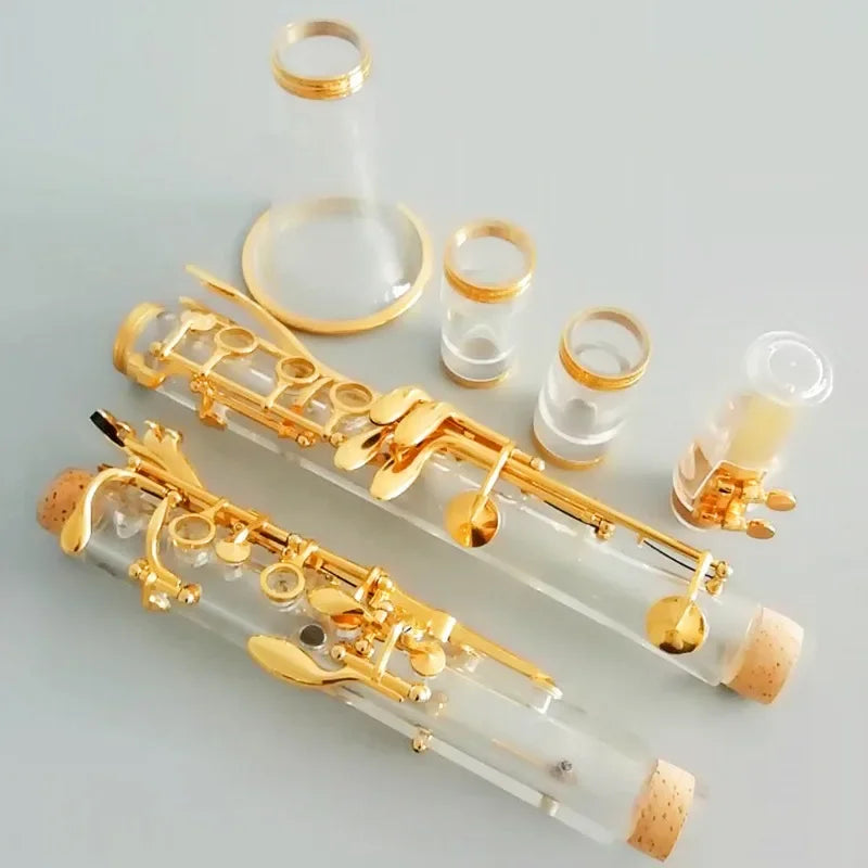 MMOOKA Hto Sale Modern Popular Professional  Acrylic Transparent Clarinet 17 Key Bb Gold Plated