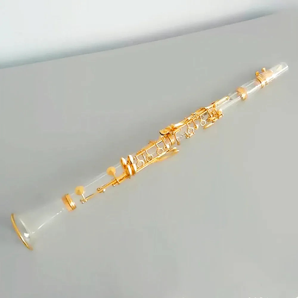 MMOOKA Hto Sale Modern Popular Professional  Acrylic Transparent Clarinet 17 Key Bb Gold Plated