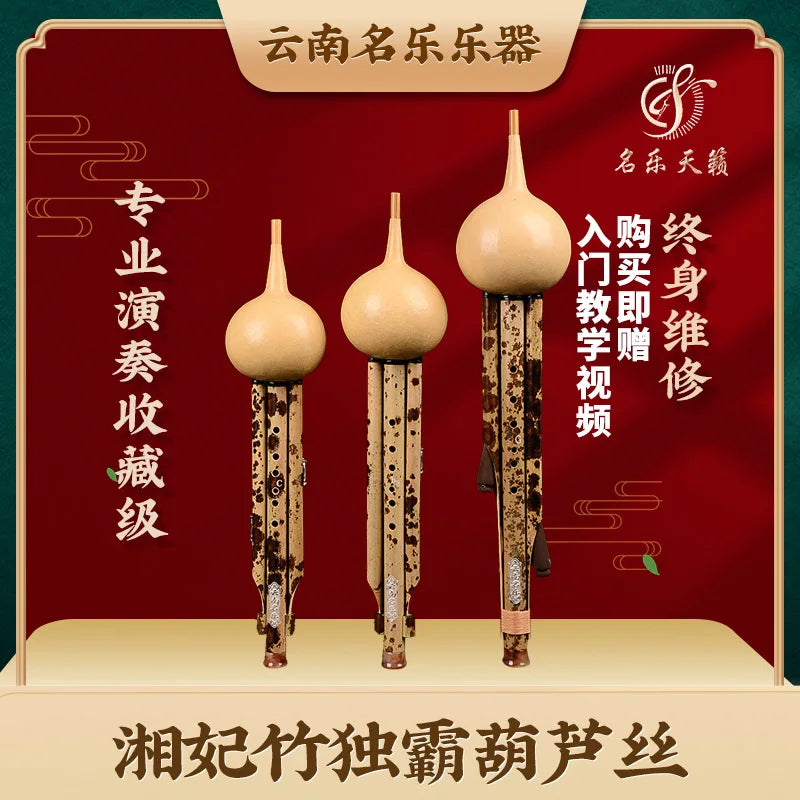Hulusi beginner Chinese national musical instrument
