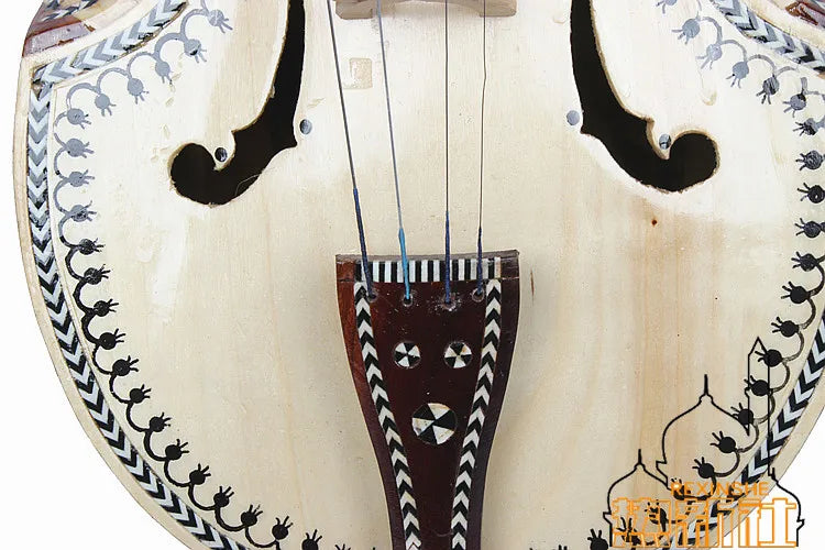 Huxitar String instruments handmade