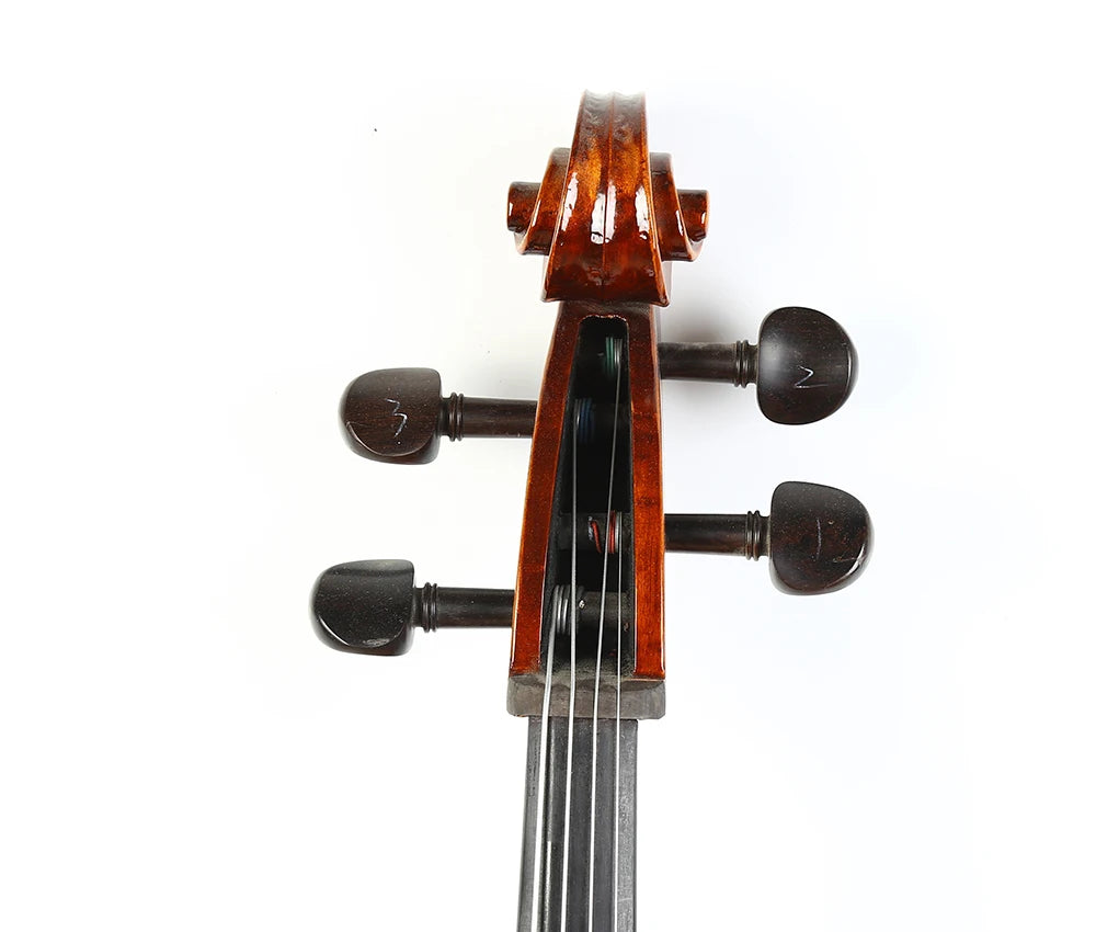 Imported European spruce cello 4/4 Maple back side panel student cello stringed instrument beginner professional concert violonc