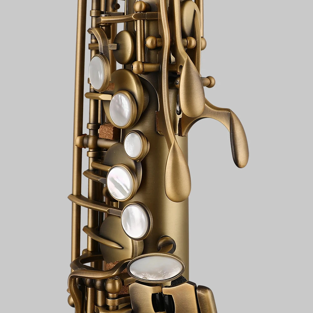 JEK G1 Eb Alto Saxophone Antique paint finish Vintage paint finish Beginner Grade Examination Major  Taiwan, China