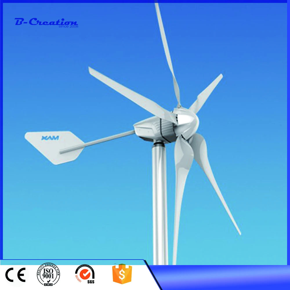JSBCXNY 24V 48V 1000W High Efficiency Wind Turbine for High-end Market with SKF Bearing WIND GENERAT Factory Sale