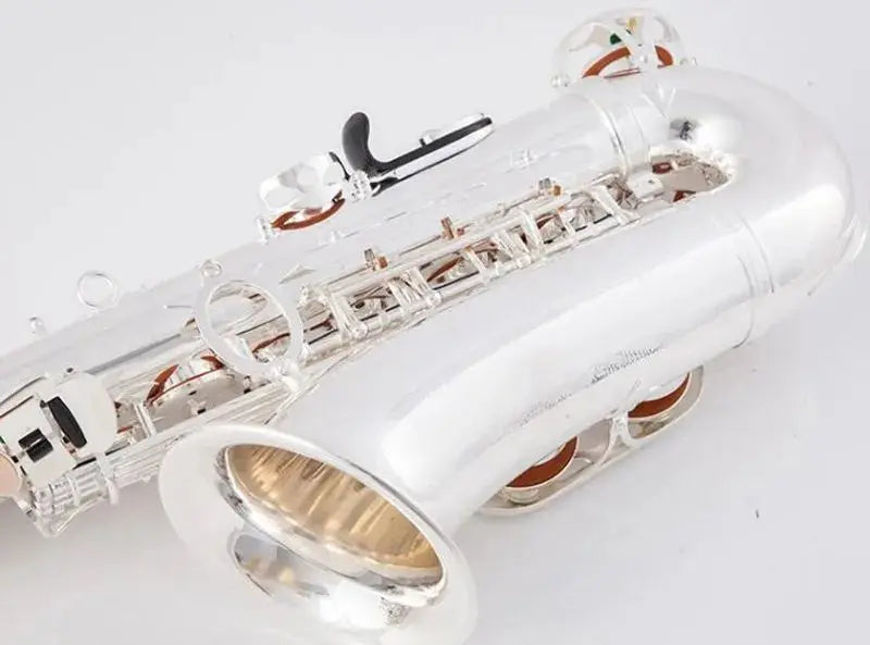 Kaluolin Brand Japan High quality Alto Saxophone E-Flat Sax Silver Alto Mouthpiece Reed Neck Musical Instrument Free