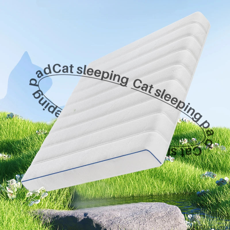 King Size Mattresses Memory Foam Folding Cozy Sleeping Cozy Spring Mattress Queen Comfortable Colchon Matrimonial Room Furniture